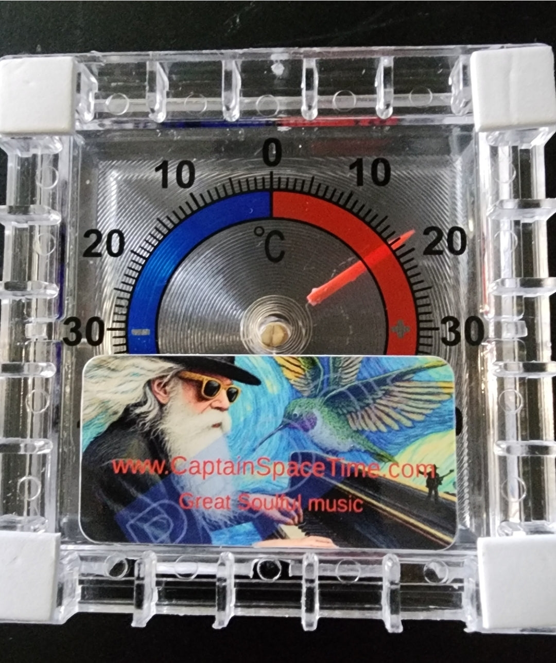 Hummingbird Thermometer